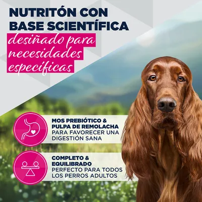 Eukanuba Special Care Adult Sensitive Digestion Eukanuba Special Care Adult Sensitive Digestion