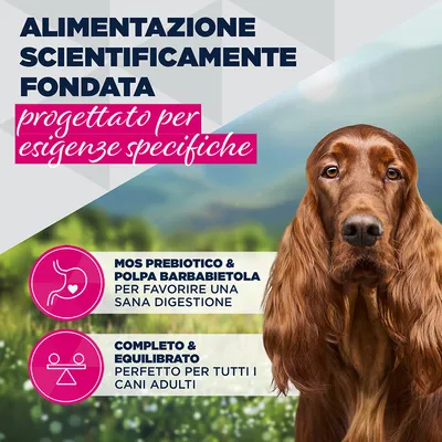 Eukanuba Special Care Adult Sensitive Digestion Eukanuba Special Care Adult Sensitive Digestion