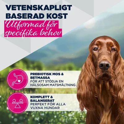 Eukanuba Special Care Adult Sensitive Digestion
