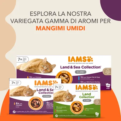 Esplora la nostra variegata gamma di aromi per mangimi umidi. IAMS Land & Sea Collection in Jelly e Gravy, confezioni da 12x85g e 6x85g, per gatti 7+ anni.