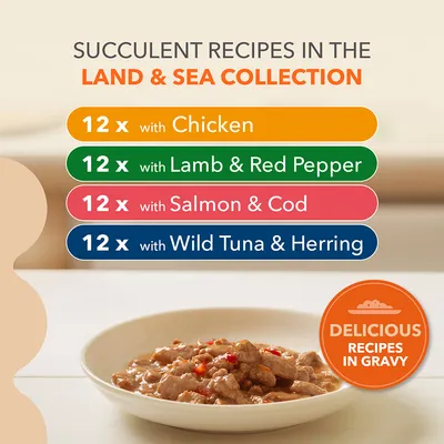 Land & Sea Collection: 12 with chicken, 12 with lamb and red pepper, 12 with salmon and cod, 12 with wild tuna and herring. Delicious recipes in gravy shown in bowl.