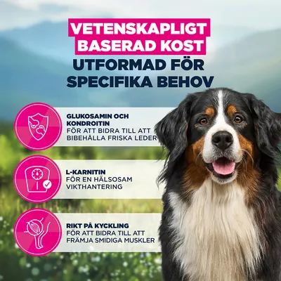 Eukanuba Special Care Sensitive Joints Adult