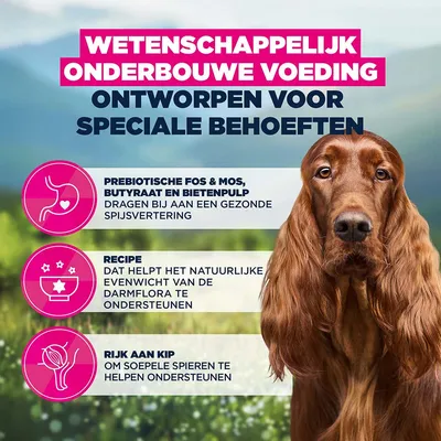 Eukanuba Daily Care Adult Sensitive Digestion Hondenvoer