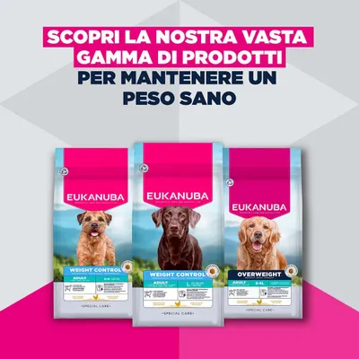 Eukanuba Special Care Weight Control Adult Small/Medium