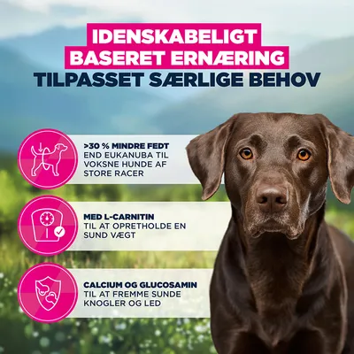 Eukanuba Adult Daily Care Weight Control Large