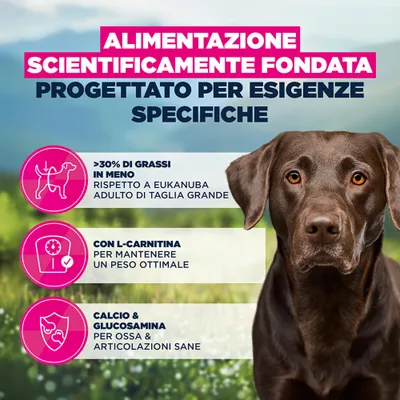 Eukanuba Daily Care Weigth Control Large Adult