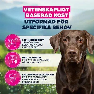 Eukanuba Special Care Weight Control Adult Large