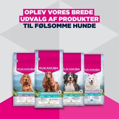 Eukanuba Puppy Sensitive Digestion Kylling & Kalkun