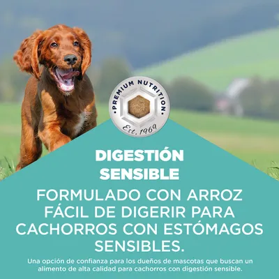 Eukanuba Special Care Sensitive Digestion Puppy con pollo y pavo Eukanuba Special Care Sensitive Digestion Puppy con pollo y pavo
