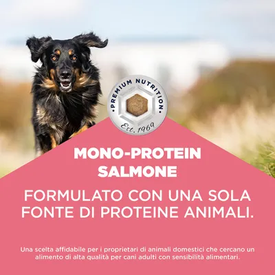 Eukanuba Special Care Mono-Protein Adult con Salmone