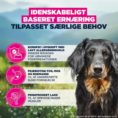 Kornfri, lavt allergenpotentiale, præbiotiske FOS, MOS og roesnitter for en sund fordøjelse, frisk laks til opbygning af muskelmasse. Videnskabeligt baseret ernæring. Kornfri, lavt allergenpotentiale, præbiotiske FOS, MOS og roesnitter for en sund fordøjelse, frisk laks til opbygning af muskelmasse. Videnskabeligt baseret ernæring.