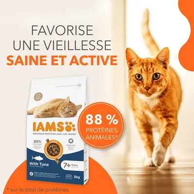 IAMS With Tuna pour chats 7+ ans, 3 kg. Texte visible : Favorise une vieillesse saine et active, 88 % protéines animales* sur le total de protéines.