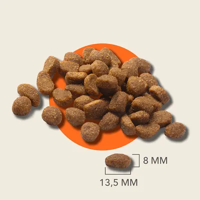 Croquettes en forme ovale, dimensions indiquées : 13,5 mm de long sur 8 mm de large. Aucune marque ou texte supplémentaire visible.