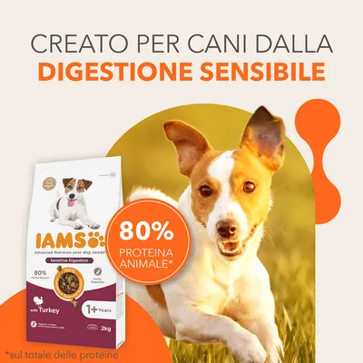 IAMS Sensitive Digestion per cani, 80% proteina animale, con tacchino, 1+ anni, confezione da 2 kg. Testo: creato per cani dalla digestione sensibile, 80% proteina animale.