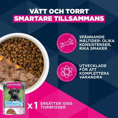 Eukanuba Premium Nutrition Puppy Small Breed Chicken