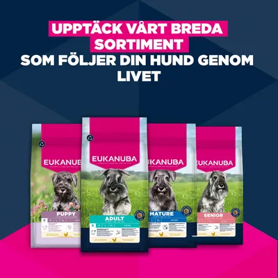 Eukanuba Premium Nutrition Puppy Small Breed Chicken