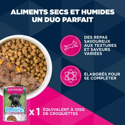 Croquettes Eukanuba Premium Nutrition Puppy Medium Breed au poulet
