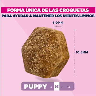 Eukanuba Premium Nutrition Puppy Medium Breed pollo