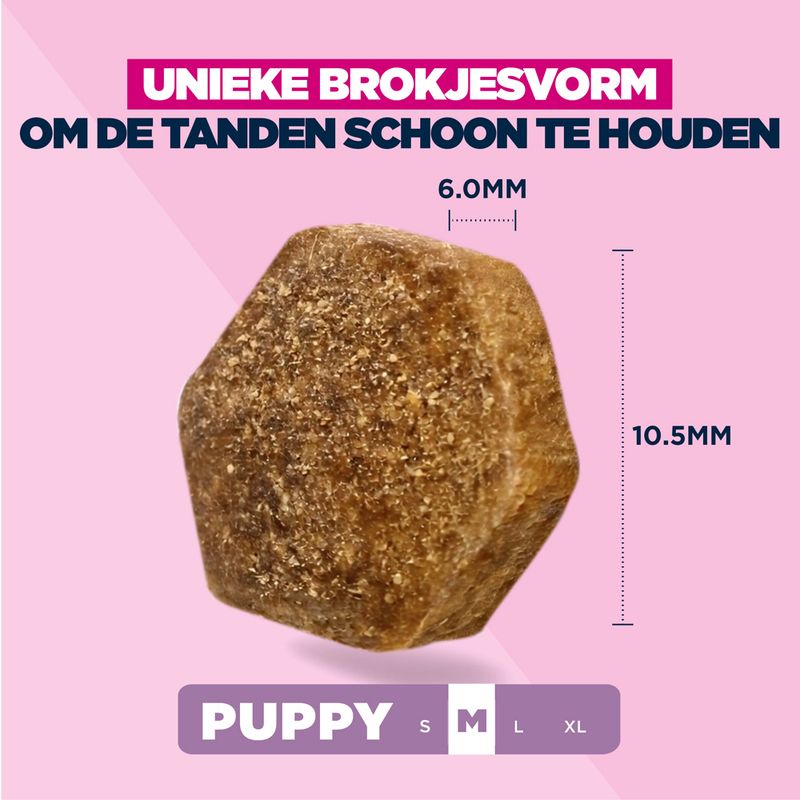 Eukanuba Puppy Medium Breed Kip Hondenvoer