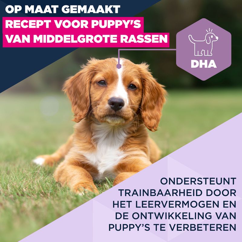 Eukanuba Puppy Medium Breed Kip Hondenvoer
