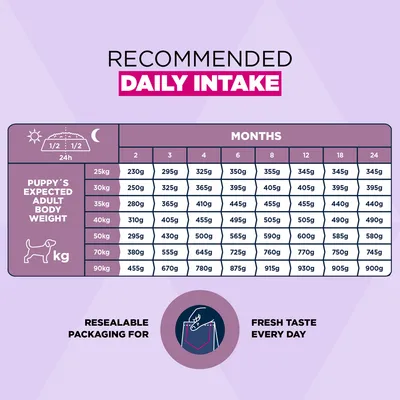 Eukanuba Premium Nutrition Puppy Large & Giant Breed bárány & rizs