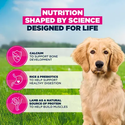 Eukanuba Premium Nutrition Puppy Large & Giant Breed bárány & rizs