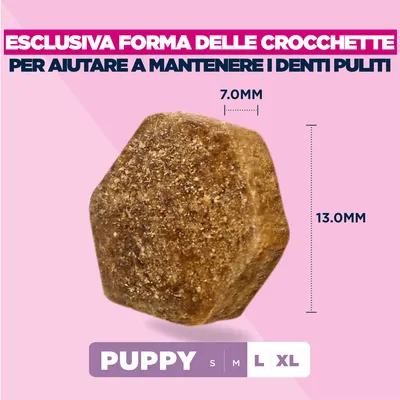 Eukanuba Premium Nutrition Puppy Large & Giant Breed Agnello & Riso