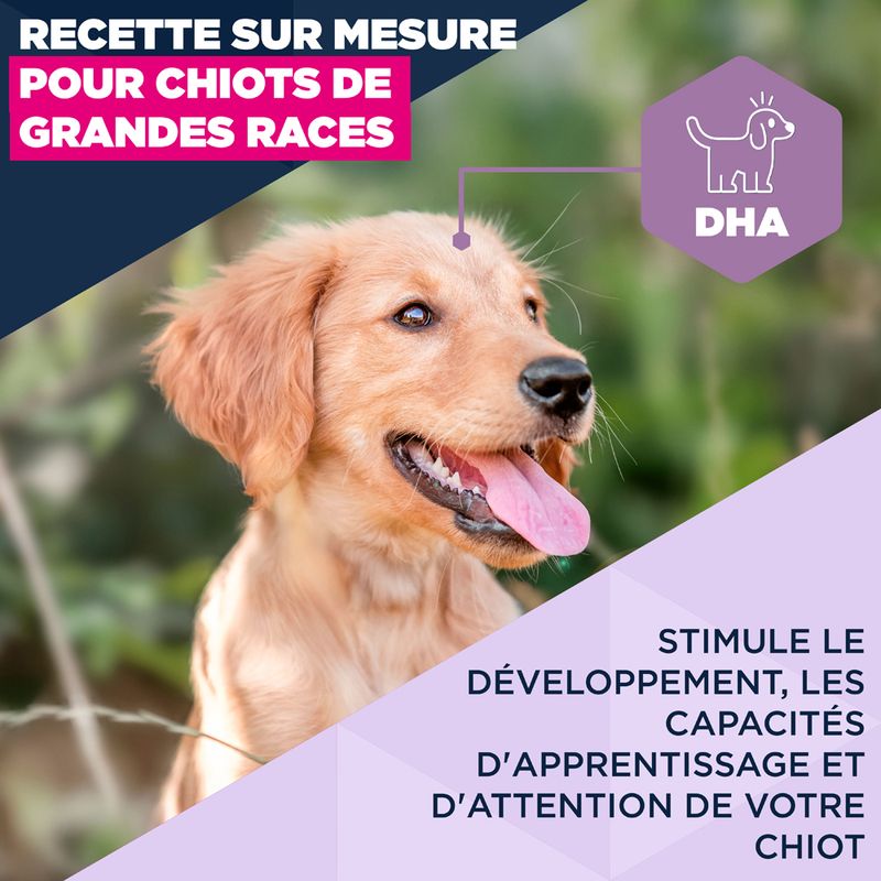 Eukanuba Premium Nutrition Puppy Large et Giant Breed agneau et riz