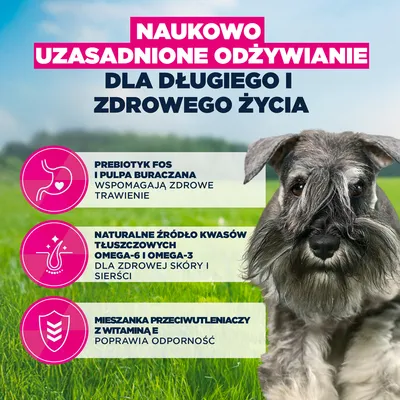 Eukanuba Premium Nutrition Adult Small Breed, kurczak