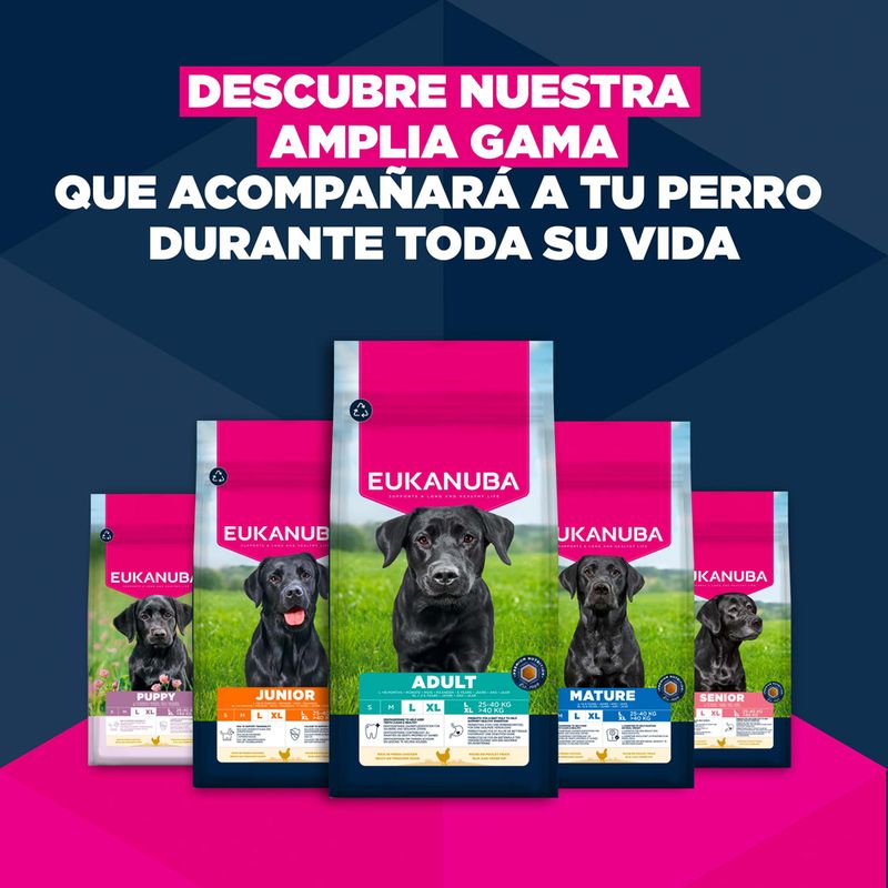 Eukanuba Premium Nutrition Adult Large & Giant Breed pollo