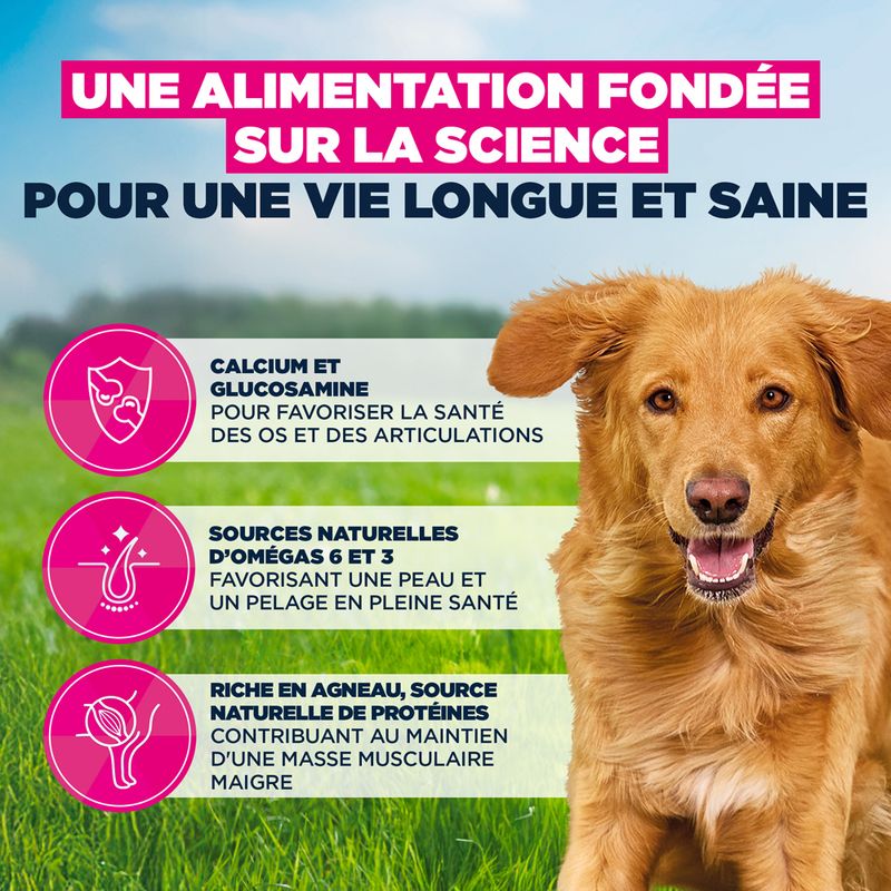 Eukanuba Premium Nutrition Adult Large et Giant Breed Agneau et Riz