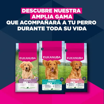 Eukanuba Premium Nutrition Adult Large & Giant Breed cordero y arroz