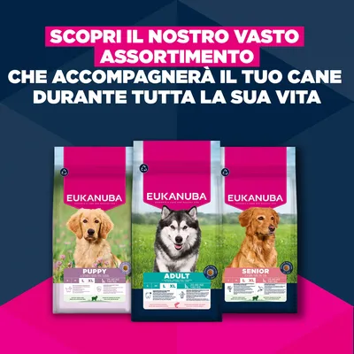 Eukanuba Premium Nutrition Adult Large & Giant Breed Salmone