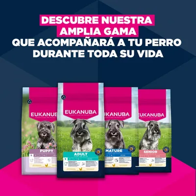 Eukanuba Premium Nutrition Mature Small Breed pollo