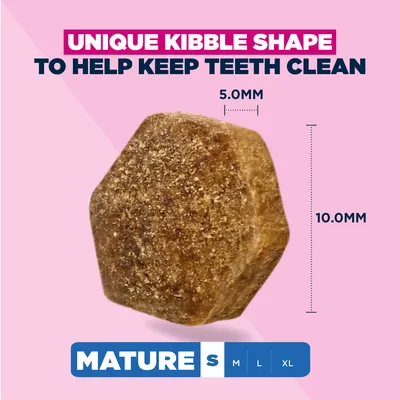 Eukanuba Premium Nutrition Mature Small Breed Kylling