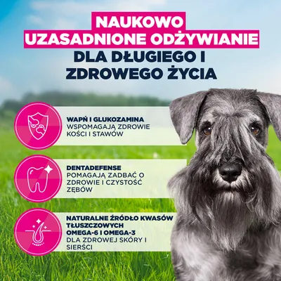 Eukanuba Premium Nutrition Mature Small Breed, kurczak