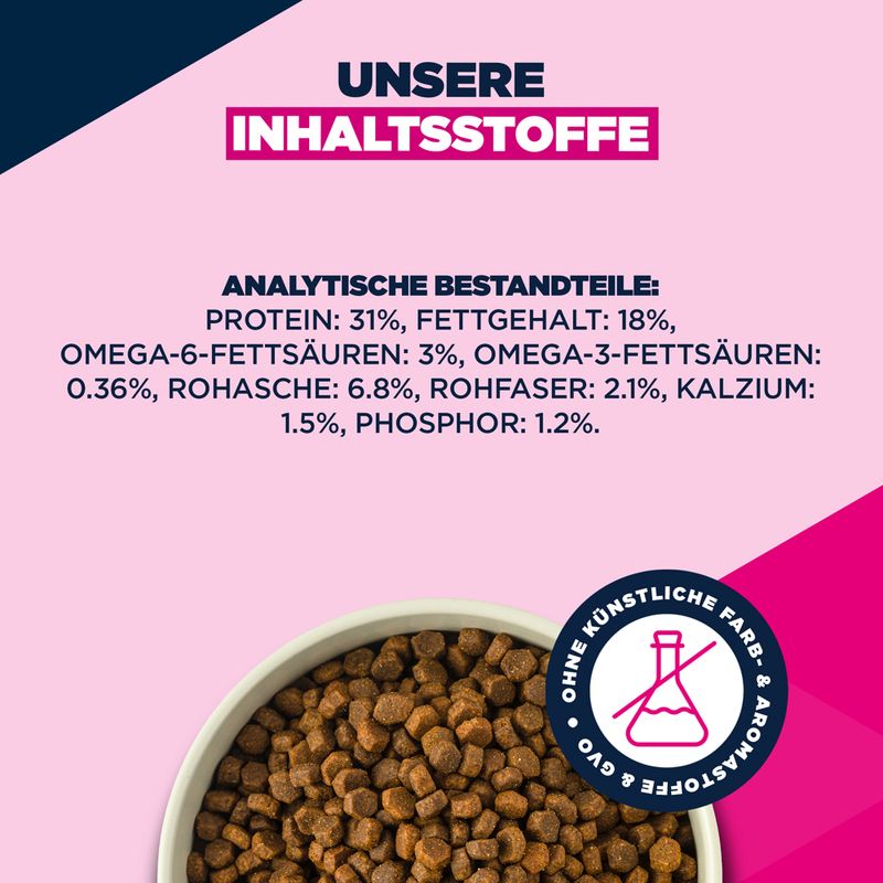 Eukanuba Premium Nutrition Senior Small Breed piščanec