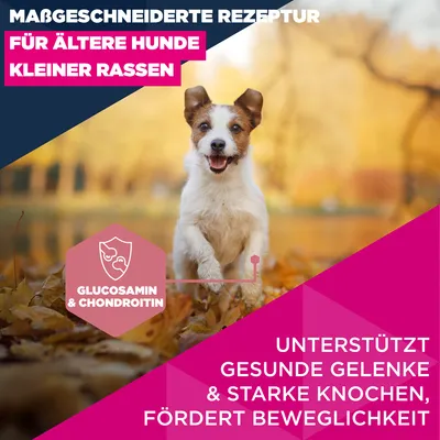 Eukanuba Premium Nutrition Senior Small Breed piščanec