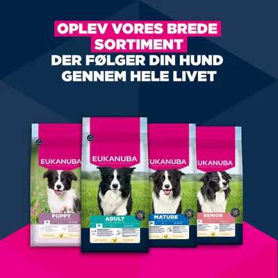 Eukanuba Premium Nutrition Senior Medium Breed Kylling