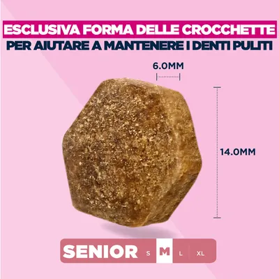 Eukanuba Premium Nutrition Senior Medium Breed Pollo