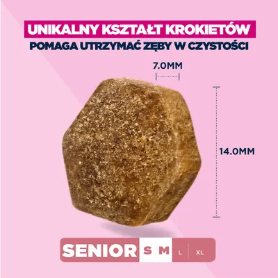 Eukanuba Premium Nutrition Senior Small & Medium Breed, jagnięcina i ryż