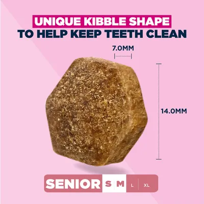 Eukanuba Premium Nutrition Senior Small & Medium Breed Lam & Ris