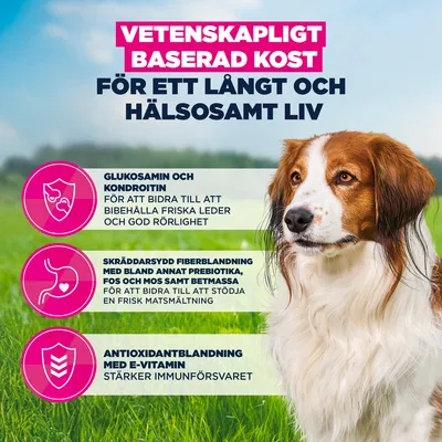 Eukanuba Premium Nutrition Senior Small & Medium Breed Lamb & Rice