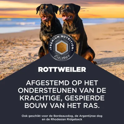 ROTTWEILER. Afgestemd op het ondersteunen van de krachtige, gespierde lichaamsbouw van het ras. Ook geschikt voor Bordeauxdog, Argentijnse dog en Rhodesian Ridgeback. ROTTWEILER. Afgestemd op het ondersteunen van de krachtige, gespierde lichaamsbouw van het ras. Ook geschikt voor Bordeauxdog, Argentijnse dog en Rhodesian Ridgeback.