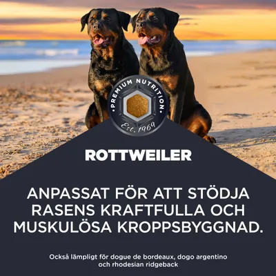 Rottweiler. Anpassad för att stödja den kraftfulla och muskulösa kroppsstrukturen. Även lämplig för dogue de bordeaux, dogo argentino och rhodesian ridgeback. Rottweiler. Anpassad för att stödja den kraftfulla och muskulösa kroppsstrukturen. Även lämplig för dogue de bordeaux, dogo argentino och rhodesian ridgeback.