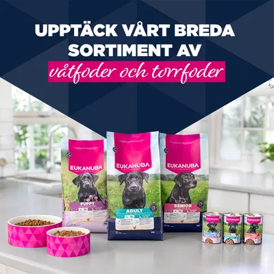Eukanuba Puppy Rich i kalkon med morötter