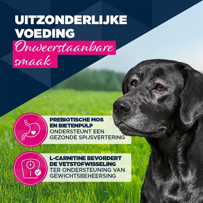 Eukanuba Senior Rijk aan rundvlees met pompoen