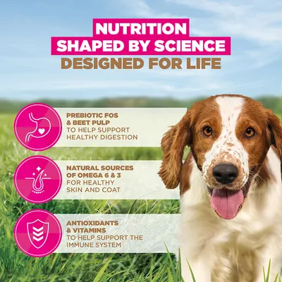 Eukanuba Grain Free Adult Small & Medium merikala Eukanuba Grain Free Adult Small & Medium merikala