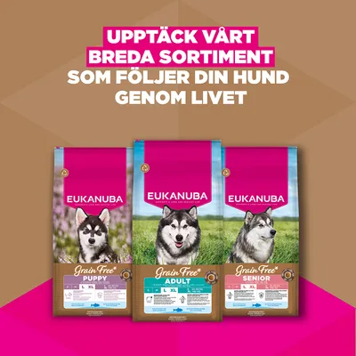 Eukanuba Senior Large Breed Grain Free Ocean Fish