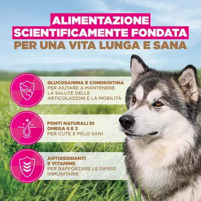 Eukanuba Grain Free Senior Large & Giant Pesce